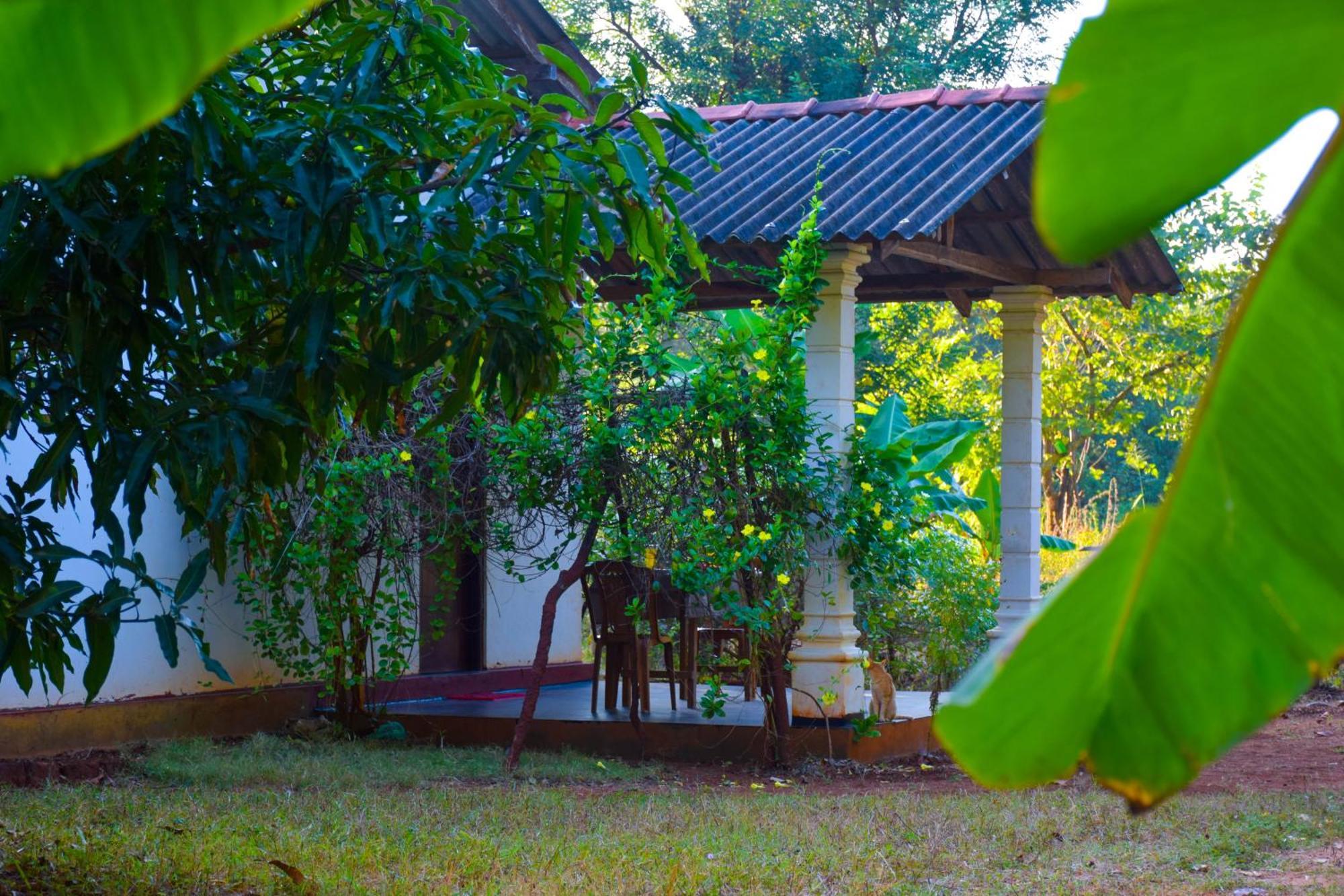 Senu Homestay Сигирия Экстерьер фото