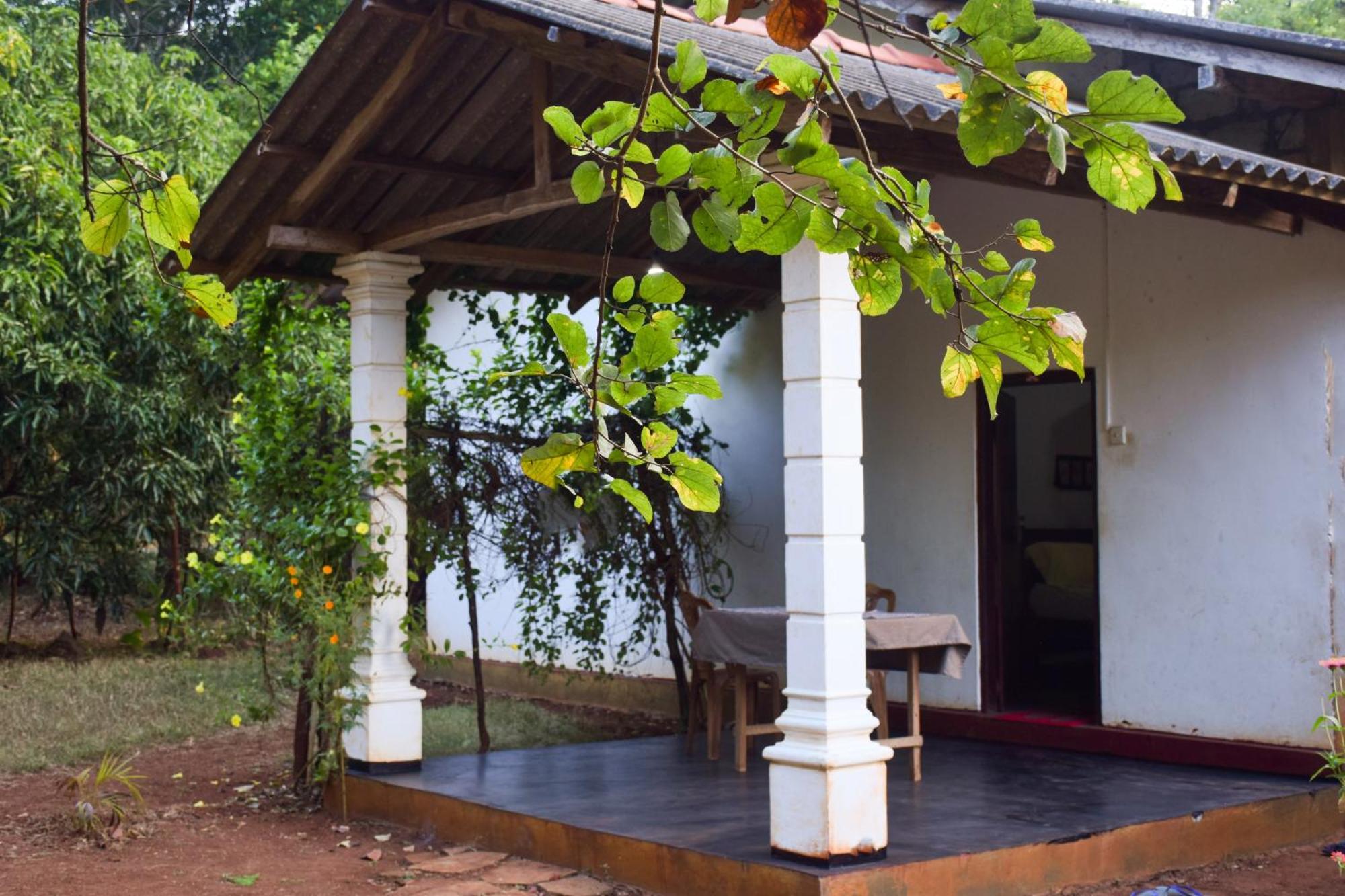 Senu Homestay Сигирия Экстерьер фото